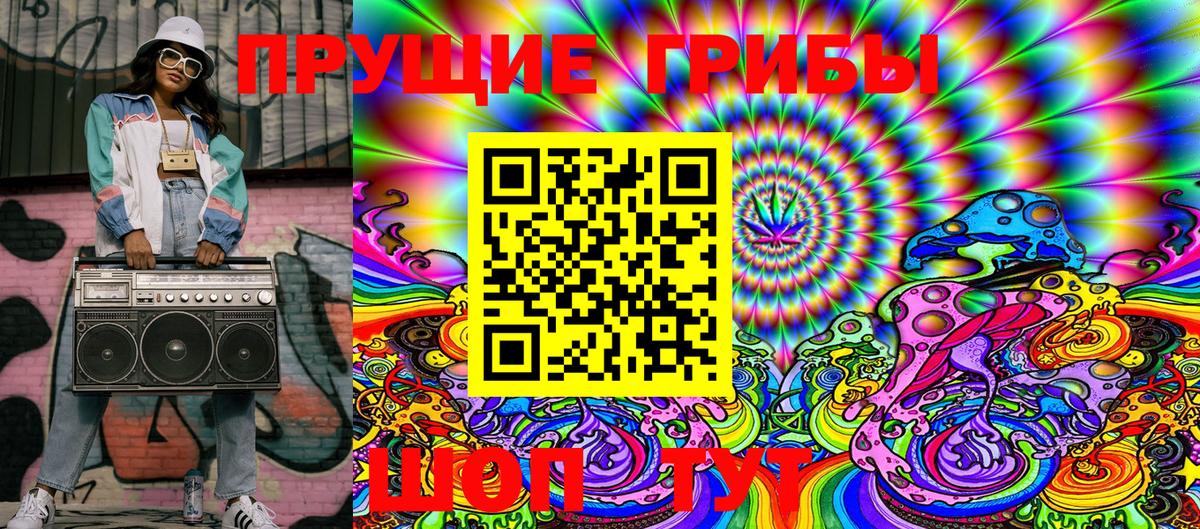 Псилоцибиновые грибы GOLDEN TEACHER Славгород